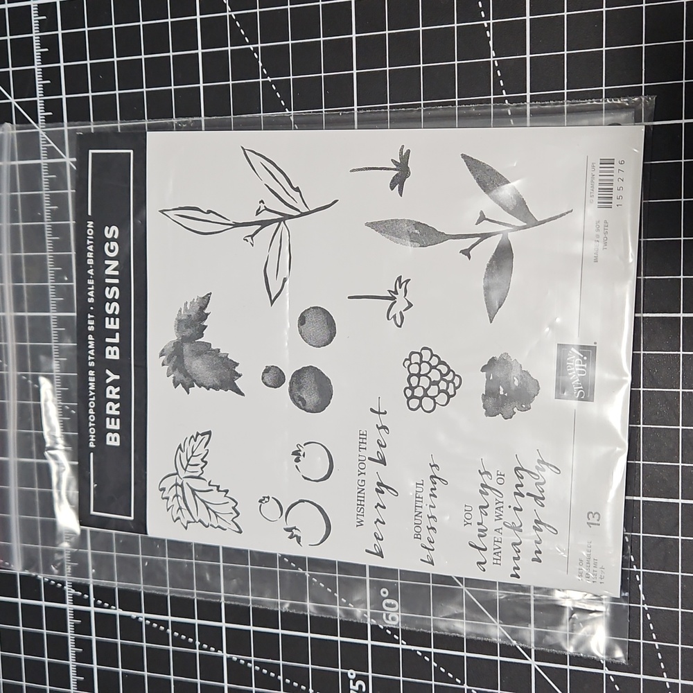 BERRY BLESSINGS Stampin Up! Photopolymer stamp set